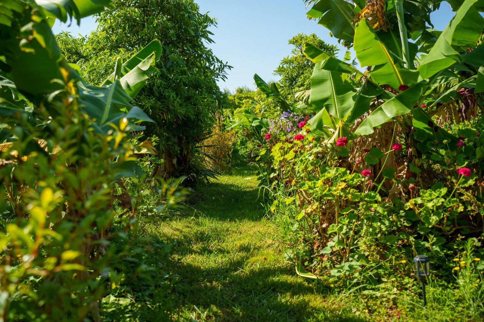 The Plantation Faial Bed and Breakfast Feteira  Buitenkant foto